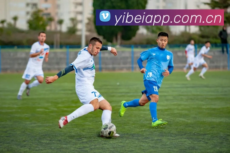 易倍体育平台生态图